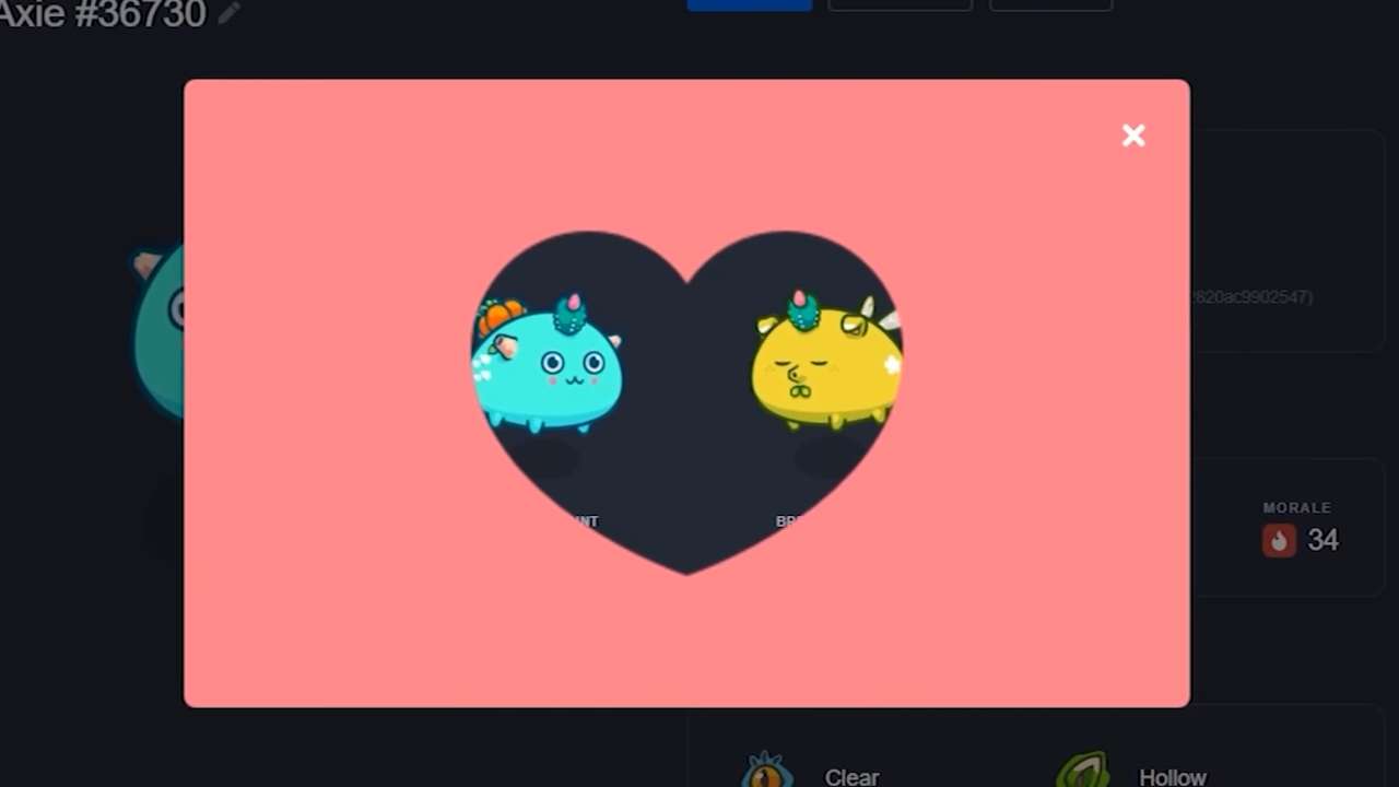 Ibrahim Ali Diamond Hands AXIE INFINITY COMO EU GANHO MAIS DE R10 MIL REAIS JOGANDO 0hDmJfrCeA8 1280x720 8m55s