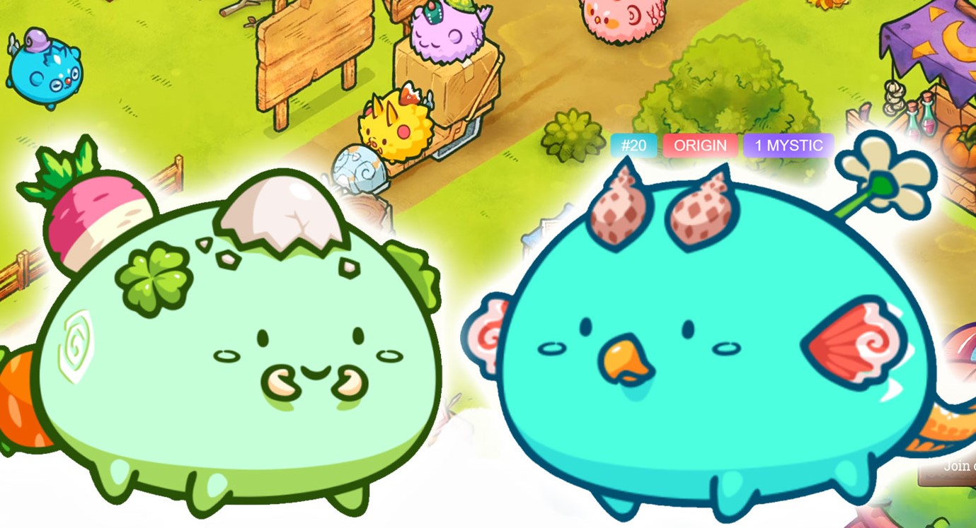 axie infinity escolinha