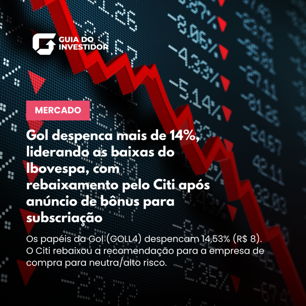 Notas modelo atualizado 13