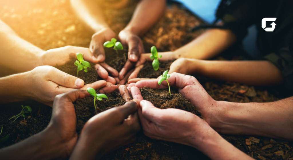 banco mercantil e confiavel..