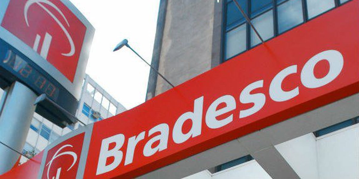 Carteira Small Caps para 2019 do Bradesco Carteira Small Caps para 2019 do Bradesco