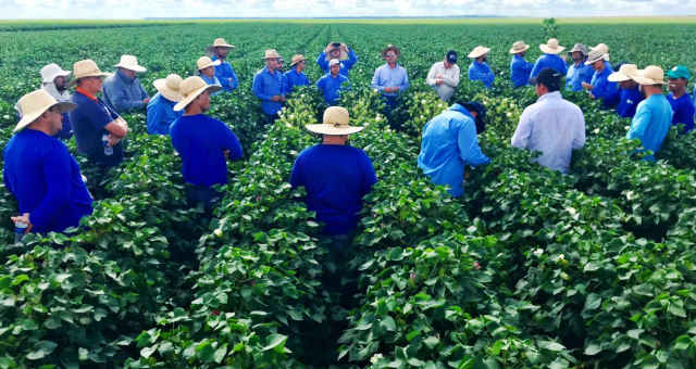 terra santa agro terra santa agro