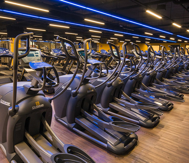 academia smart fit unidade barreiro belo horizonte minas gerais area cardiovascular eliptico transport esteira academia smart fit unidade barreiro belo horizonte minas gerais area cardiovascular eliptico transport esteira