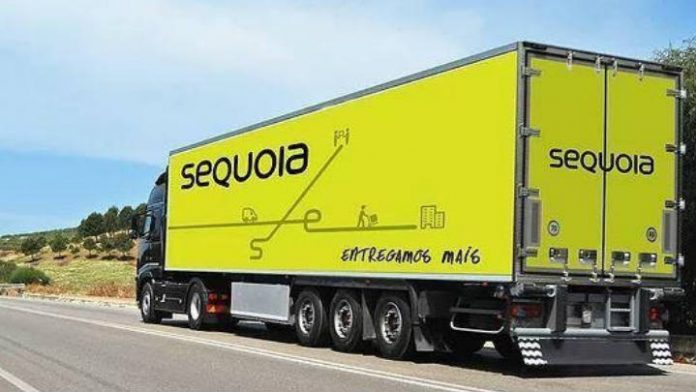 sequoia logistica 696x392 1 sequoia logistica 696x392 1