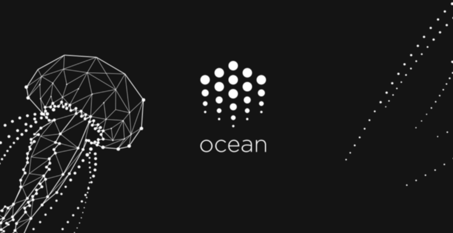 ocean protocol ocean protocol
