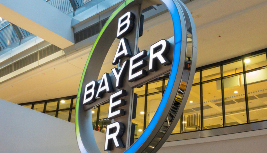 bayer p16079 thumb resized