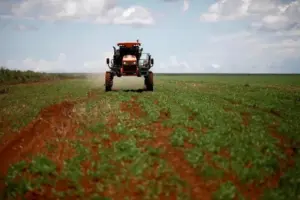 fertilizantes