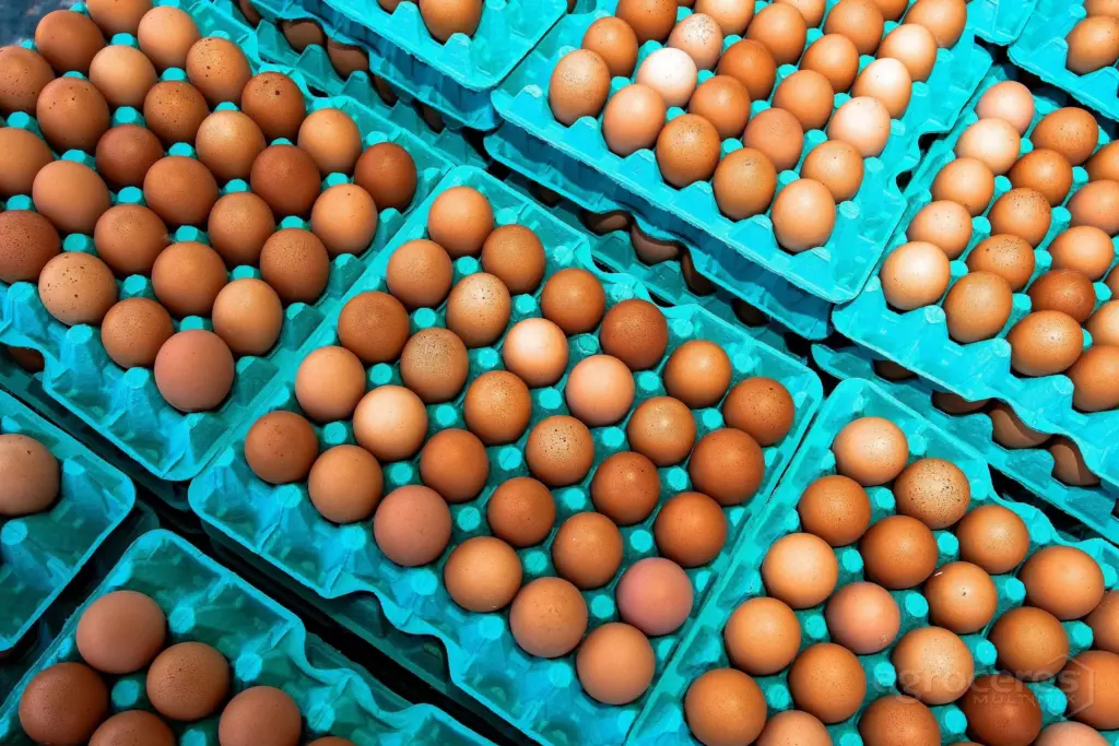 Proteína "acessível": Alta do ovo alcança mais de 40% Proteína "acessível": Alta do ovo alcança mais de 40%