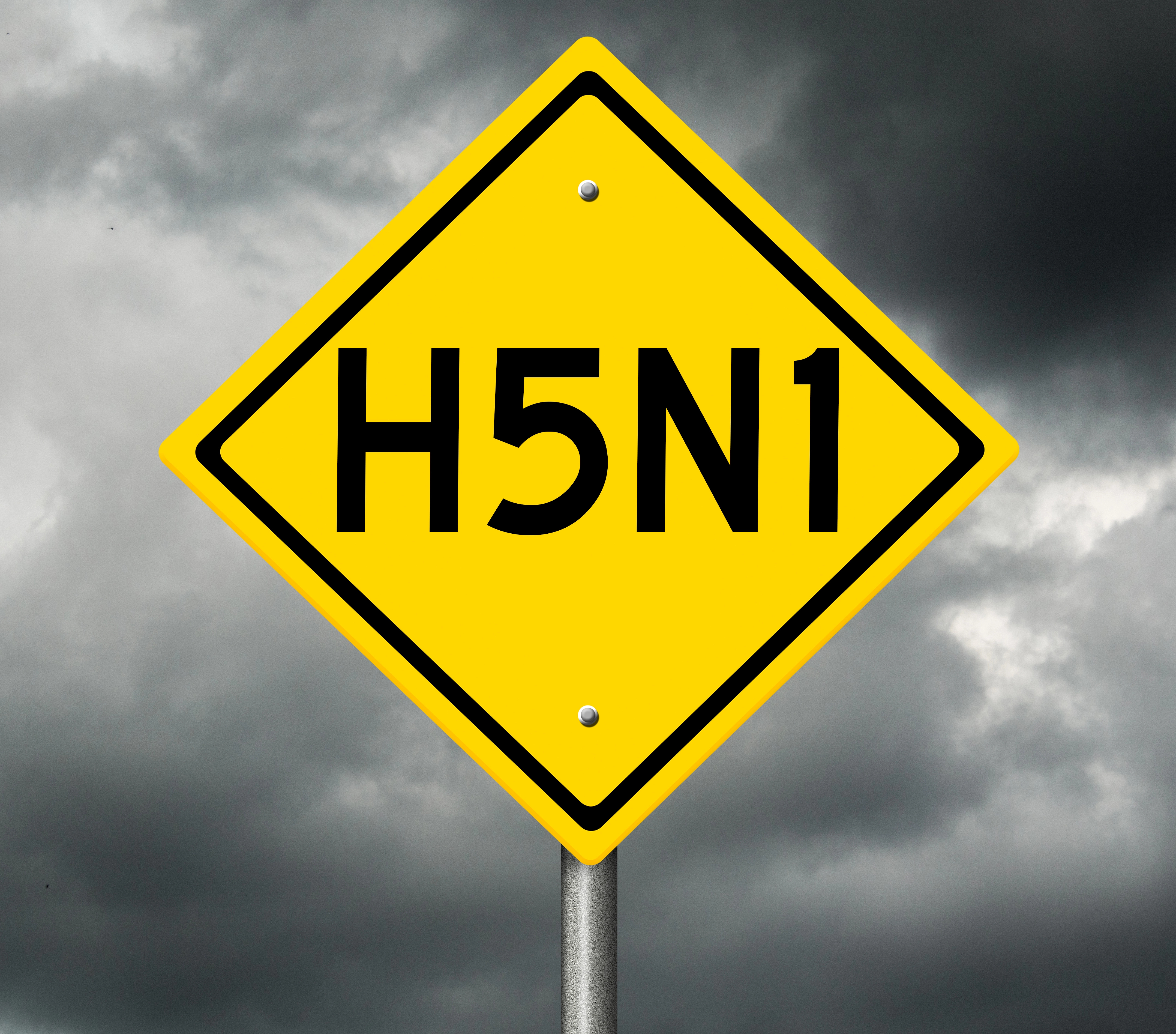 H5N1