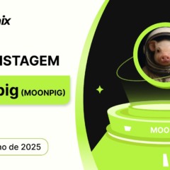 A meme coin Moonpig, novidade da rede Solana, agora está listada na Bitunix