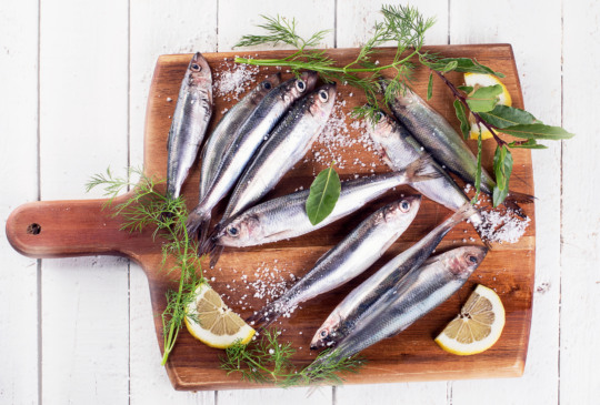 Surpresa! Este peixe brasileiro comum é o maior campeão do Ômega-3