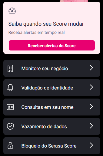 consulta serasa score grátis