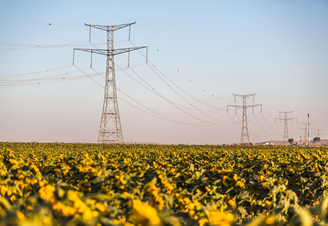 Crédito: Depositphotos.