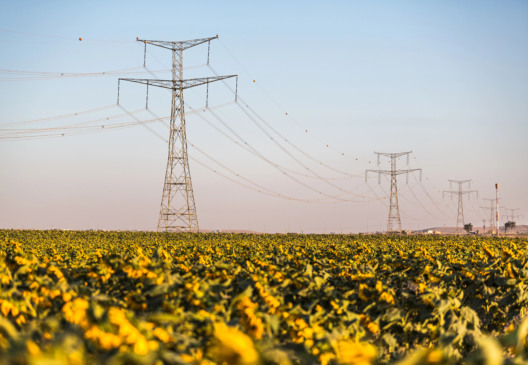 Crédito: Depositphotos.