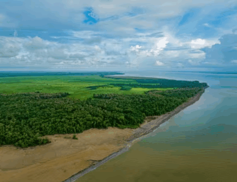 Foto: Instituto Onça-Pintada/Divulgação