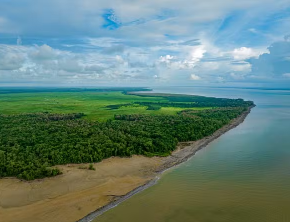 Foto: Instituto Onça-Pintada/Divulgação